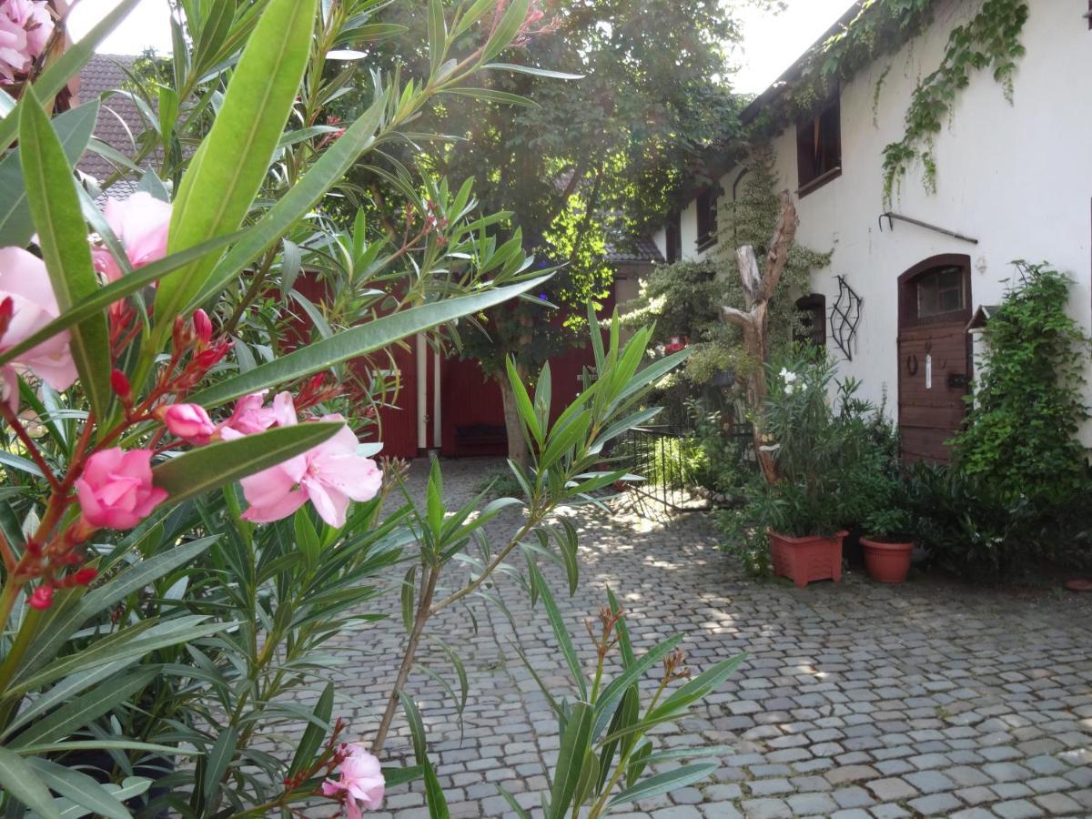 Pension Deerkemer Kuh Dorn-Durkheim Εξωτερικό φωτογραφία